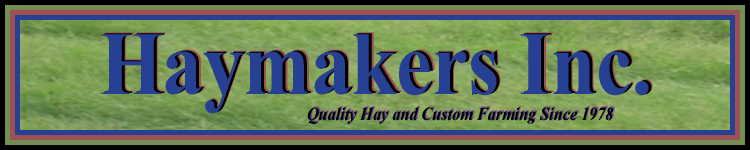 Haymakers Inc